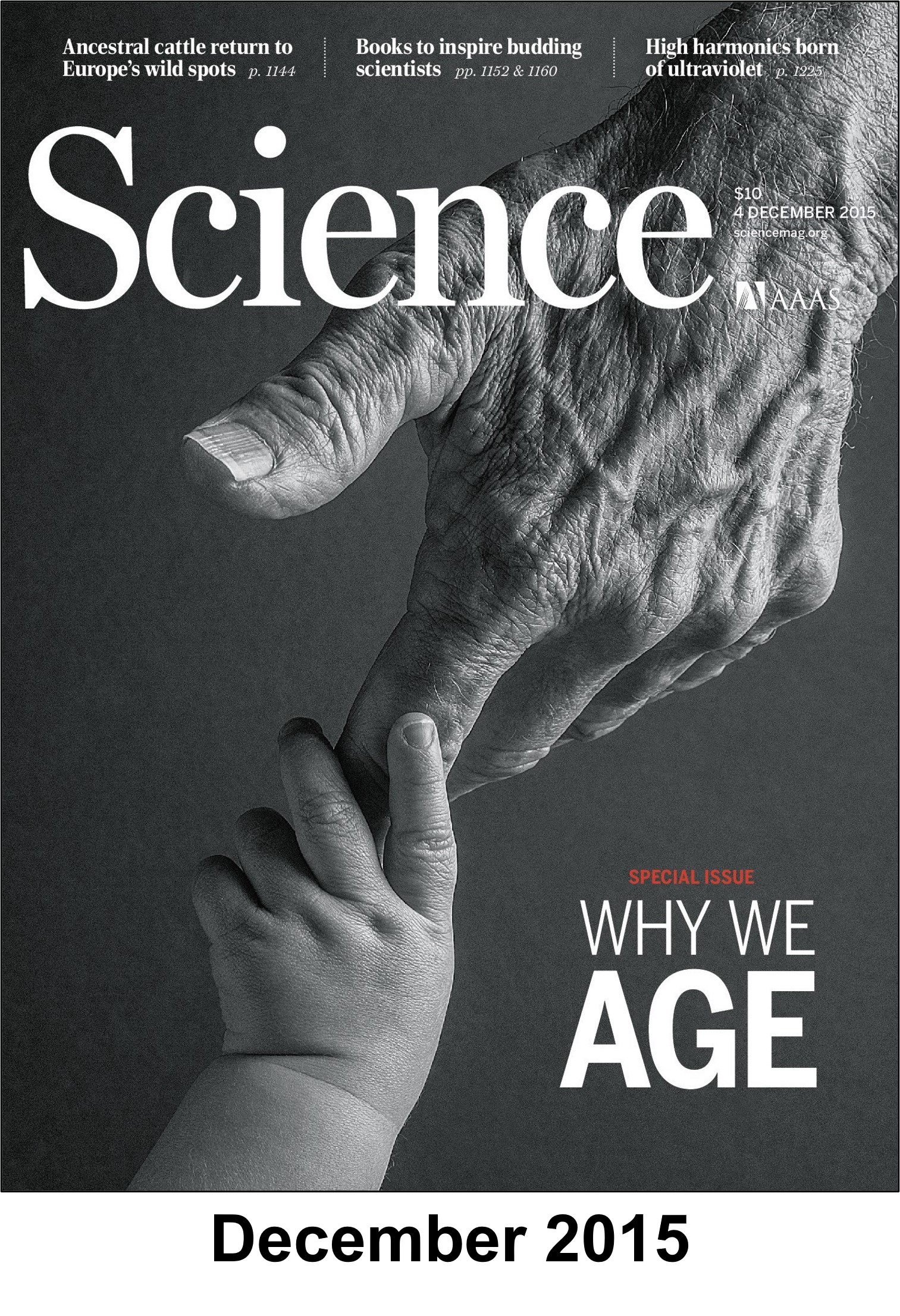 151201 Portada 07B