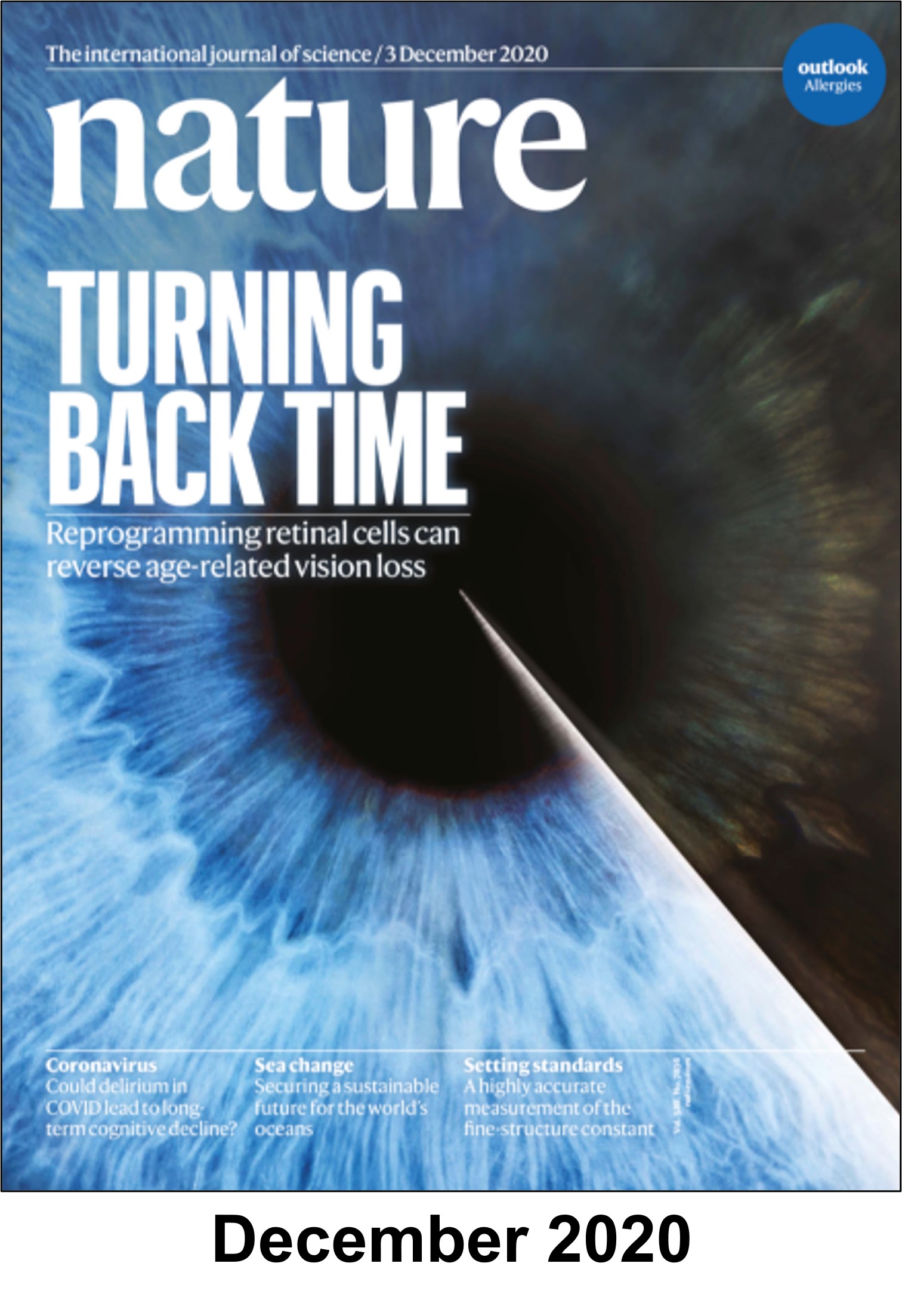 201201 Portada 11D